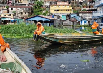 Poluição: todo dia, 29 toneladas de lixo saem dos igarapé de Manaus