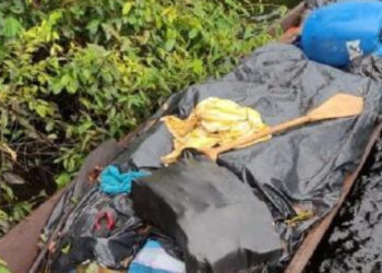 PF apreende duas toneladas de drogas em Novo Airão