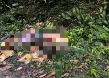 Com sinais de tortura e mais de 15 facadas, corpo é encontrado em ramal no Tarumã