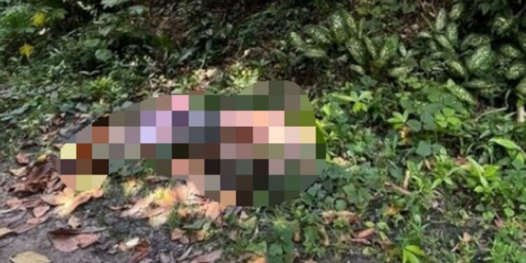 Com sinais de tortura e mais de 15 facadas, corpo é encontrado em ramal no Tarumã