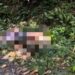 Com sinais de tortura e mais de 15 facadas, corpo é encontrado em ramal no Tarumã