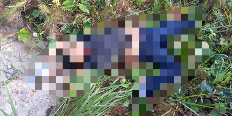 MAIS MORTES – Vítima é encontrada com as mãos amarradas e degolada em ramal na ZL