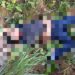 MAIS MORTES – Vítima é encontrada com as mãos amarradas e degolada em ramal na ZL
