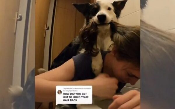 Influenciadora ensina cachorro a segurar seu cabelo para quando ela precisar vomitar; veja o vídeo