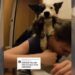 Influenciadora ensina cachorro a segurar seu cabelo para quando ela precisar vomitar; veja o vídeo