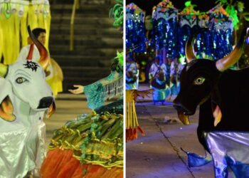 Neste final de semana, Sambódromo receberá bumbás de Manaus no 64º Festival Folclórico do Amazonas 