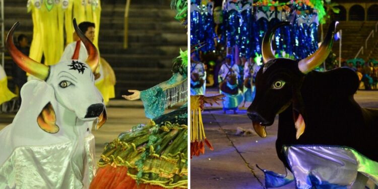Neste final de semana, Sambódromo receberá bumbás de Manaus no 64º Festival Folclórico do Amazonas