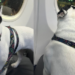 Justiça do Amazonas determina que a GOL autorize Buldogue Francês a viajar na cabine de avião