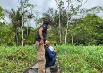 Cabeça de homem é encontrada em lago em Itacoatiara e polícia já suspeita de quem seja