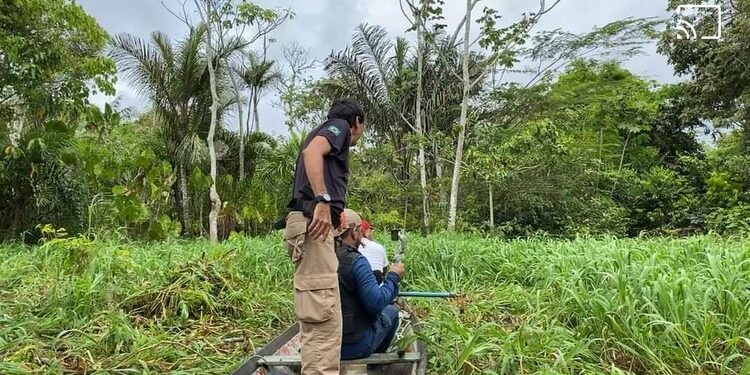Cabeça de homem é encontrada em lago em Itacoatiara e polícia já suspeita de quem seja