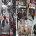 Assassino que matou rapaz em choperia falou com o segurança antes de entrar no local; vídeo