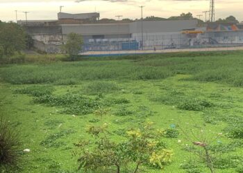 Corpo de um homem é resgatado de igarapé no bairro Educandos