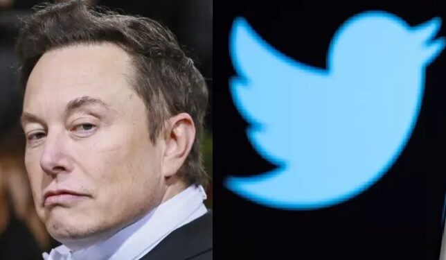 Irritado, Elon Musk desiste de comprar o Twitter