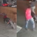 Com ciúmes da ex, homem mata o atual companheiro dela com uma facada certeira; vídeo