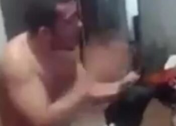 Flamenguista perde a cabeça, bate em galo, posta na rede social e é denunciado por maus-tratos