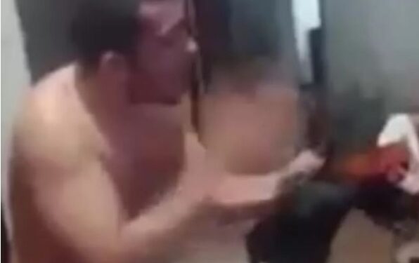 Flamenguista perde a cabeça, bate em galo, posta na rede social e é denunciado por maus-tratos