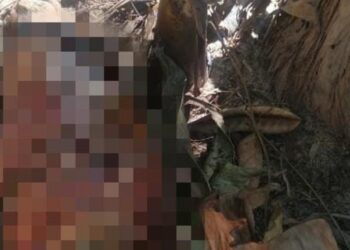 Mais partes de corpo são encontrados em Manaus e jacaré come mão antes da chegada do IML