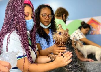 Prefeitura oferta 60 vagas gratuitas em cursos de ‘Banho e Tosa para Pets’