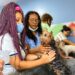 Prefeitura oferta 60 vagas gratuitas em cursos de ‘Banho e Tosa para Pets’