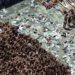 PMs envolvidos no massacre do Carandiru são condenados a 600 anos de prisão