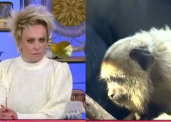 Ana Maria demite responsável por VT de macaco durante caso de racismo contra filhos de atores
