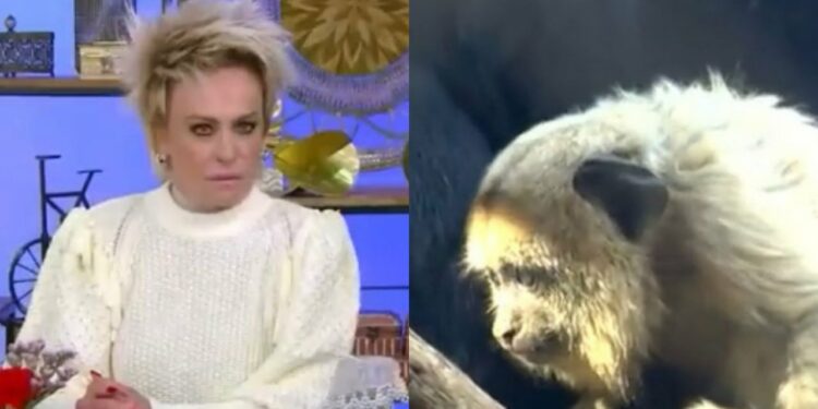 Ana Maria demite responsável por VT de macaco durante caso de racismo contra filhos de atores