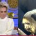 Ana Maria demite responsável por VT de macaco durante caso de racismo contra filhos de atores