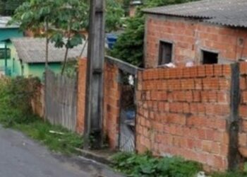 Homem se irrita com latido da cadela da vizinha e mata animal no Amazonas