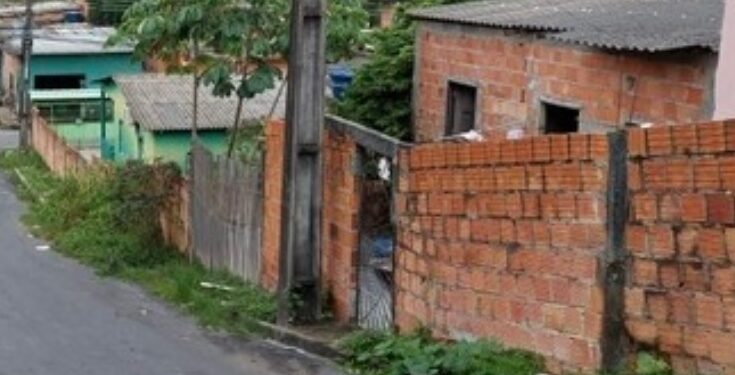 Homem se irrita com latido da cadela da vizinha e mata animal no Amazonas