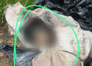 Corpo de homem é encontrado todo esquartejado em sacolas no meio de rua na Zona Leste