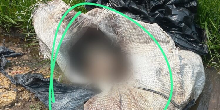 Corpo de homem é encontrado todo esquartejado em sacolas no meio de rua na Zona Leste