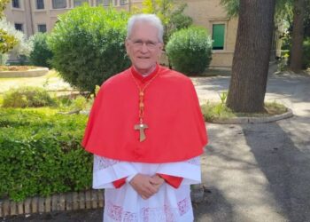 Dom Leonardo Steiner é nomeado ‘cardeal da Amazônia’ em cerimônia no Vaticano