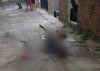 Cenas fortes: Dupla fica com o rosto desfigurado ao serem mortos em beco de Manaus