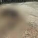 Suspeito de estuprar criança é linchado em Manaus após mãe gritar por socorro