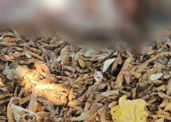 Homem é morto e tem o dedo arrancado no Centro de Manaus