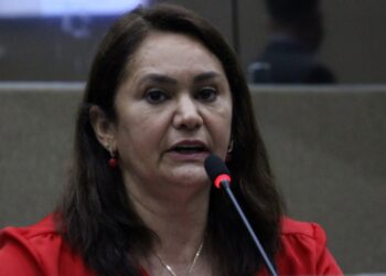 Vereadora Jacqueline quer criar lei para instituir o Festival do Morcego em Manaus