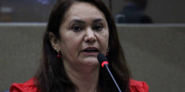 Vereadora Jacqueline quer criar lei para instituir o Festival do Morcego em Manaus