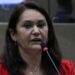 Vereadora Jacqueline quer criar lei para instituir o Festival do Morcego em Manaus