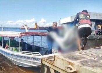 Mulher é atropelada na BR-319 e condutor do acidente foge e deixa ela morrer