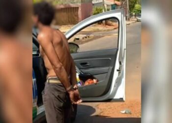 Homem é preso suspeito de matar e cozinhar gatos e cães para comer