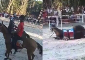 Vídeo: Instituto denuncia vaquejada no interior do AM que deixou cavalo gravemente ferido