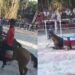 Vídeo: Instituto denuncia vaquejada no interior do AM que deixou cavalo gravemente ferido
