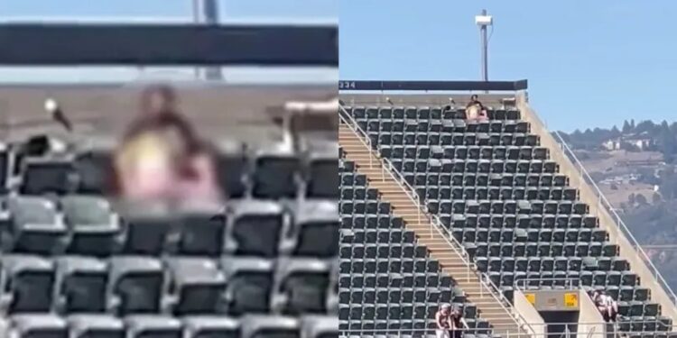 Vídeo: Casal é filmado brincando de ‘cavalinho’ no meio de arquibancada de estádio e vai preso