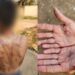 No Pará, mãe dá surra com galho de árvore no filho por causa de R$10