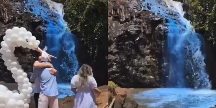 Casal é criticado ao utilizar corante em cachoeira para fazer chá revelação; veja o vídeo