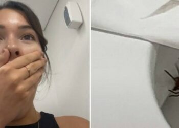 Jovem toma susto ao se deparar com aranha venenosa logo após se levantar de vaso sanitário