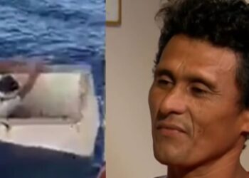 Brasileiro é resgatado vivo após passar 11 dias boiando em freezer no oceano