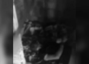 ‘Kekeu’ não escapa, é amarrado, decapitado e filmado morto no Amazonas