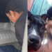 Homem que matou comerciante por se negar a vender fiado já tinha passagem por latrocínio