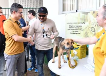 Manaus começa campanha gratuita de vacinação antirrábica